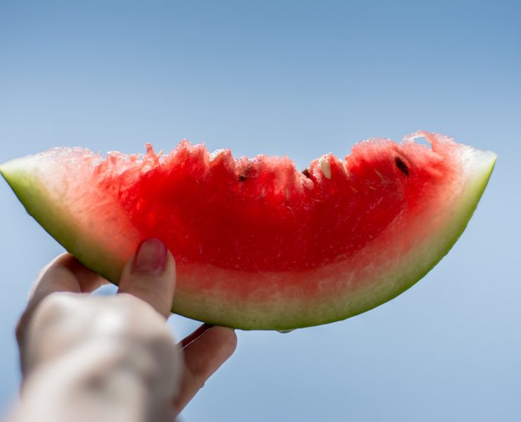 summer fruit watermelon