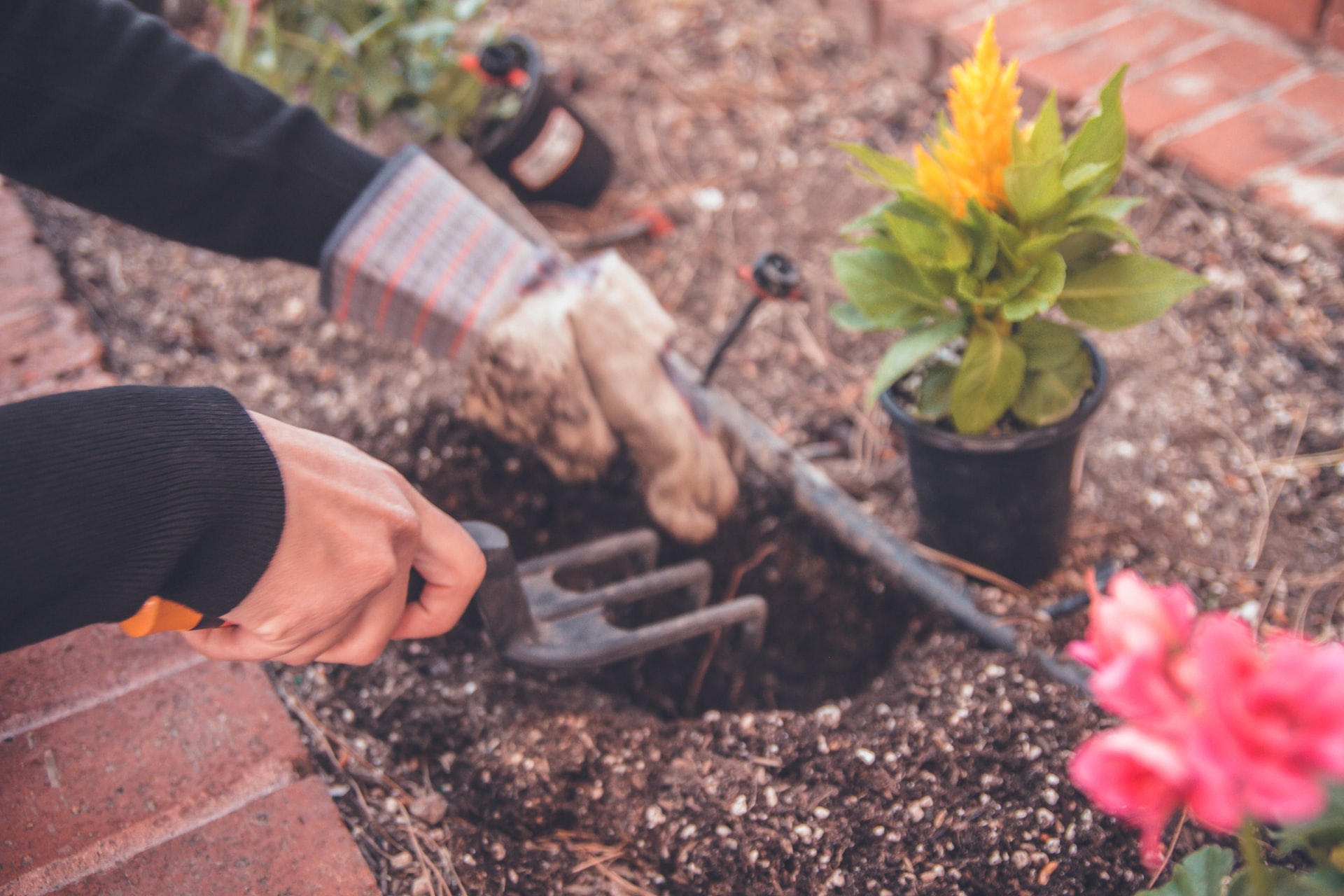 gardening outdoors