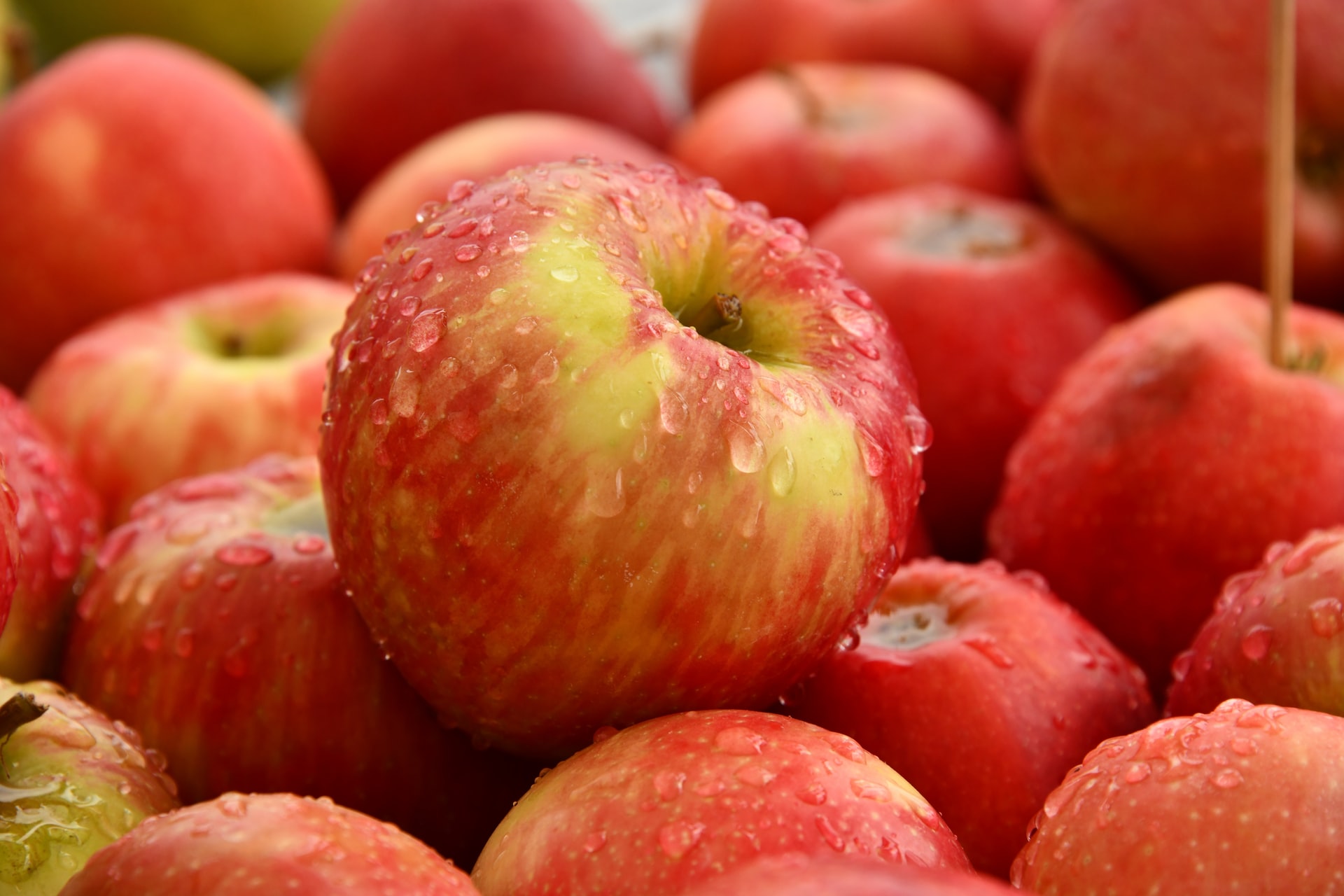 summer fruit apple