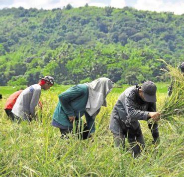 Throughout quarantine, LGUs has helped farmers by buying P1.58-B worth of produce