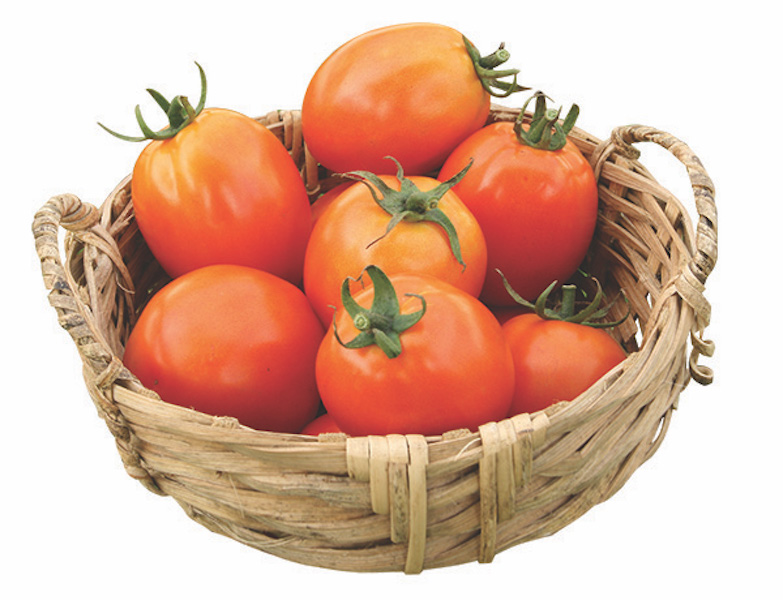 home gardening tomato