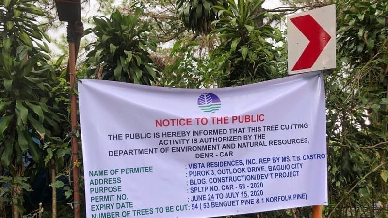 So apparently, DENR allowed Vista Residences to cut down 50+ pine trees