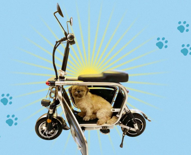 pet-friendly e-bike