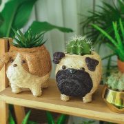 animal pots
