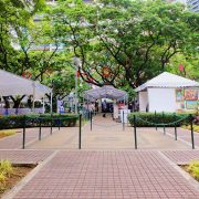 Art in the Park header nollisoliph