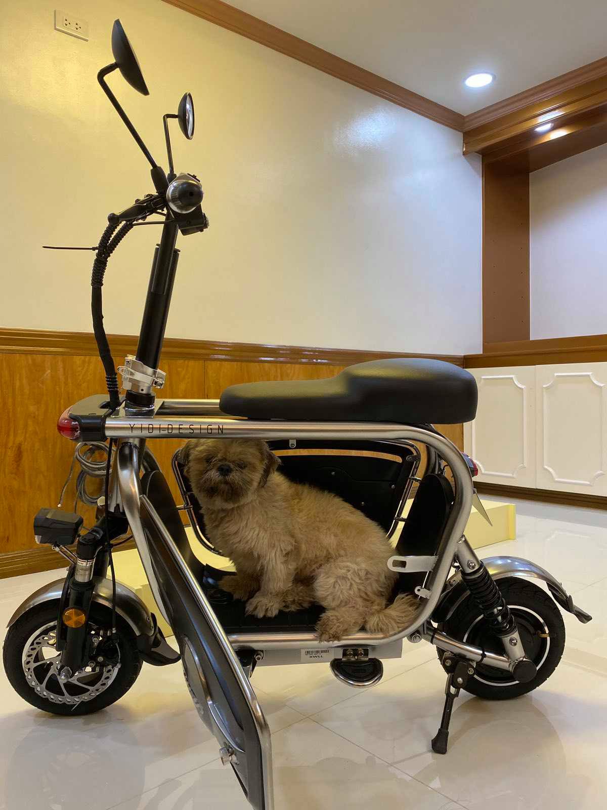 Electric bike hotsell with dog carrier