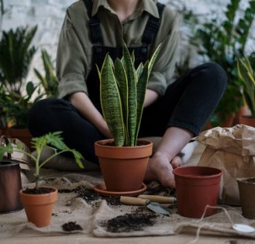 gardening