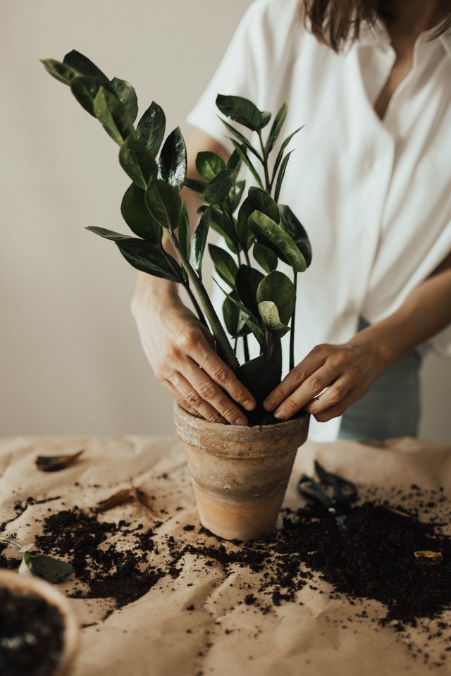 gardening