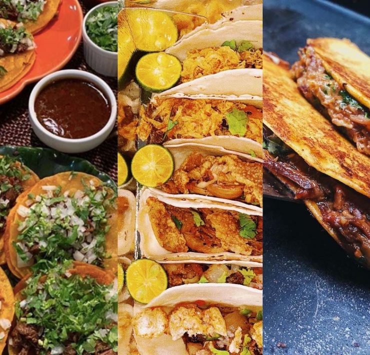 Birria Taco Header nolisoliph