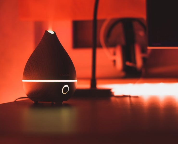 Essential Oils Pets Header nolisoliph