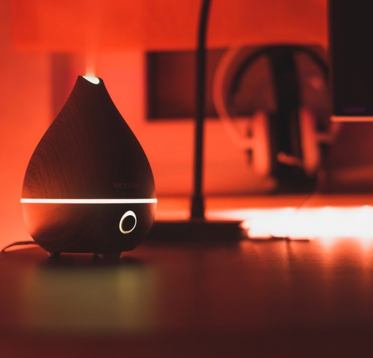 Essential Oils Pets Header nolisoliph