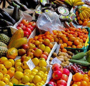 Seasonal Fruits Header Image nolisoliph