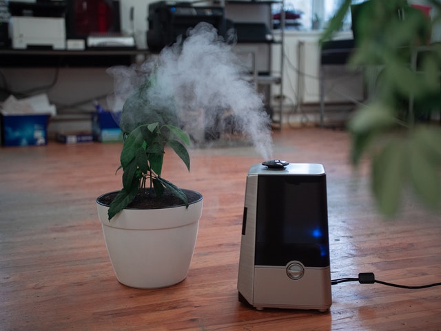 air purifier