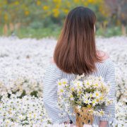 cream silk hair care nature