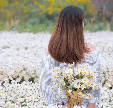 cream silk hair care nature