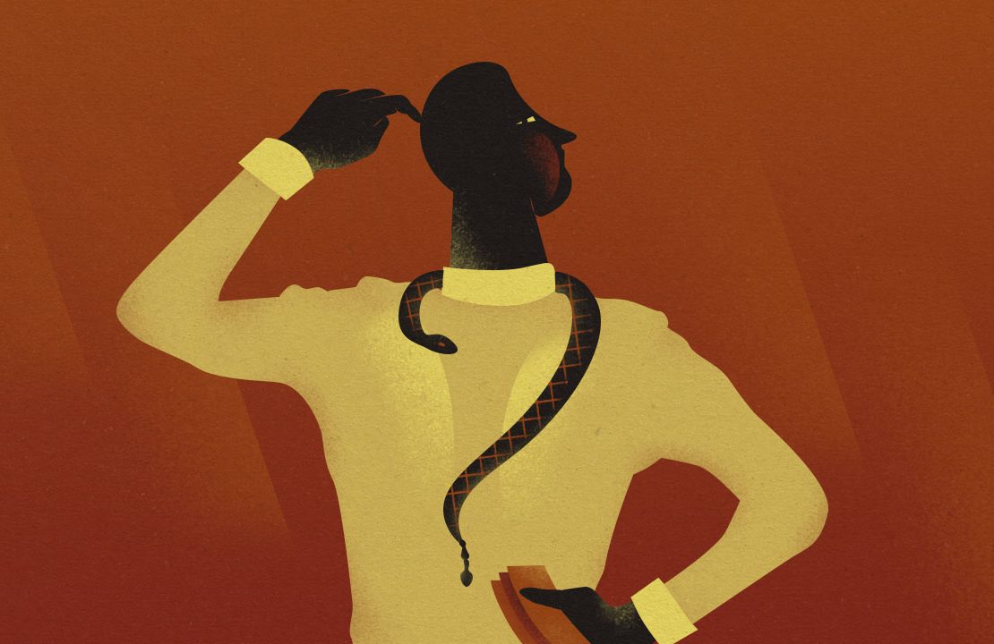 Stop Calling Politicians Stupid Header nolisoliph