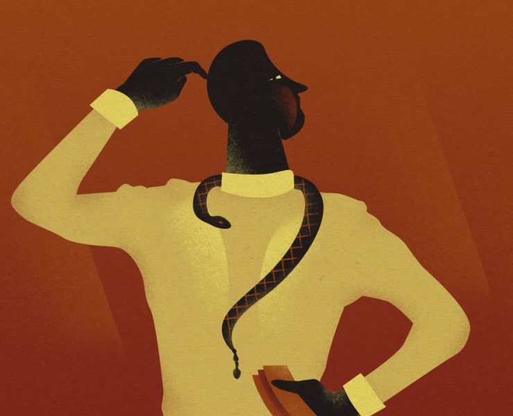 Stop Calling Politicians Stupid Header nolisoliph