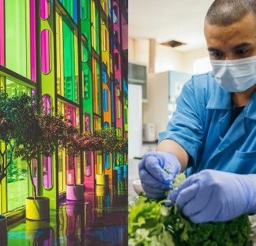 aureus james dyson award