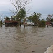 typhoon ulysses climate change
