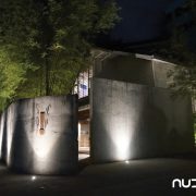 brutalist home in the night surrounded by bamboo trees