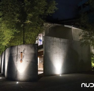 brutalist home in the night surrounded by bamboo trees