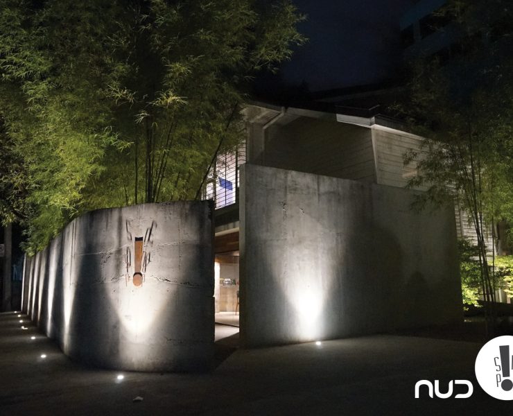 brutalist home in the night surrounded by bamboo trees