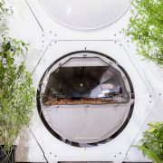 Recompose human composting remains header nolisoliph