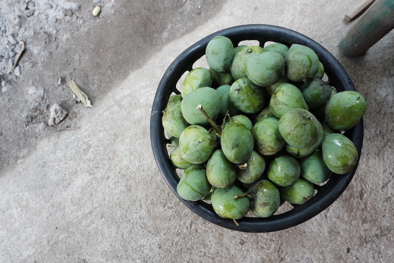 basket of green indian mangoes