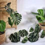 leaf pillows monstera