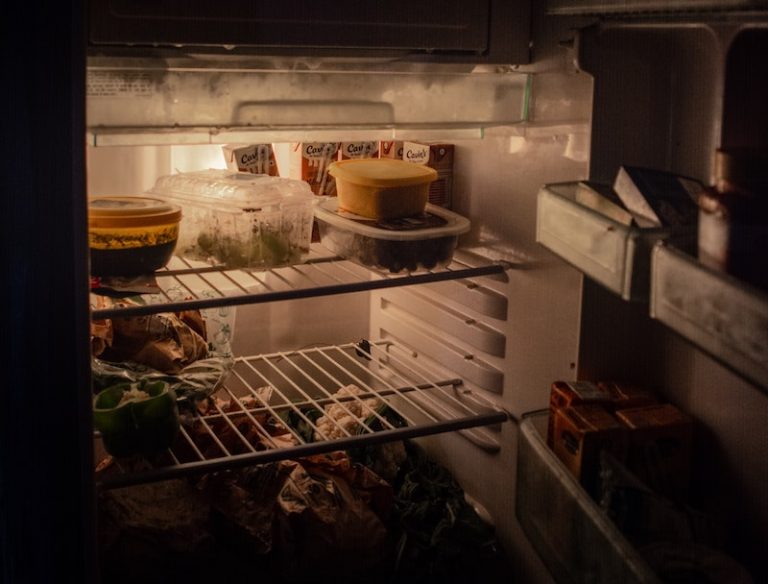What to keep or throw out from the fridge after a power outage NOLISOLI