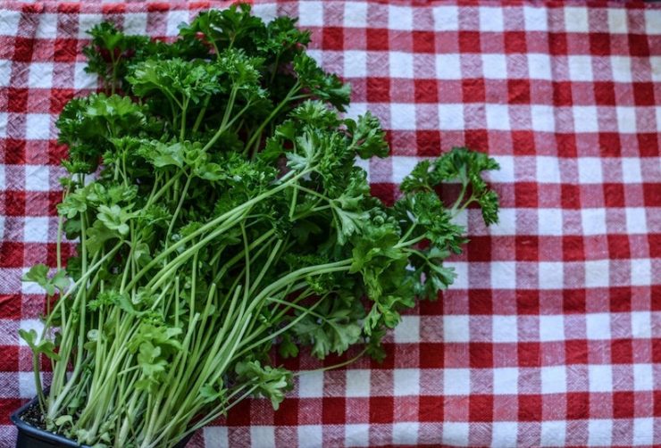 What’s the difference Coriander, cilantro and parsley