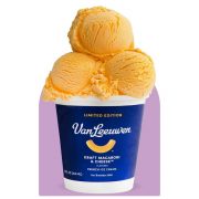van leeuwen mac and cheese ice cream