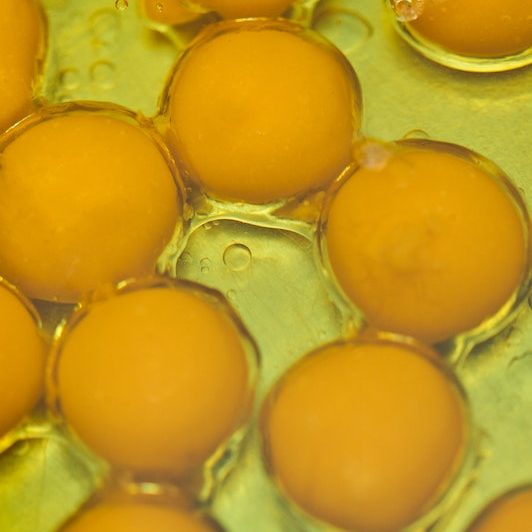 egg yolks swimming in egg whites