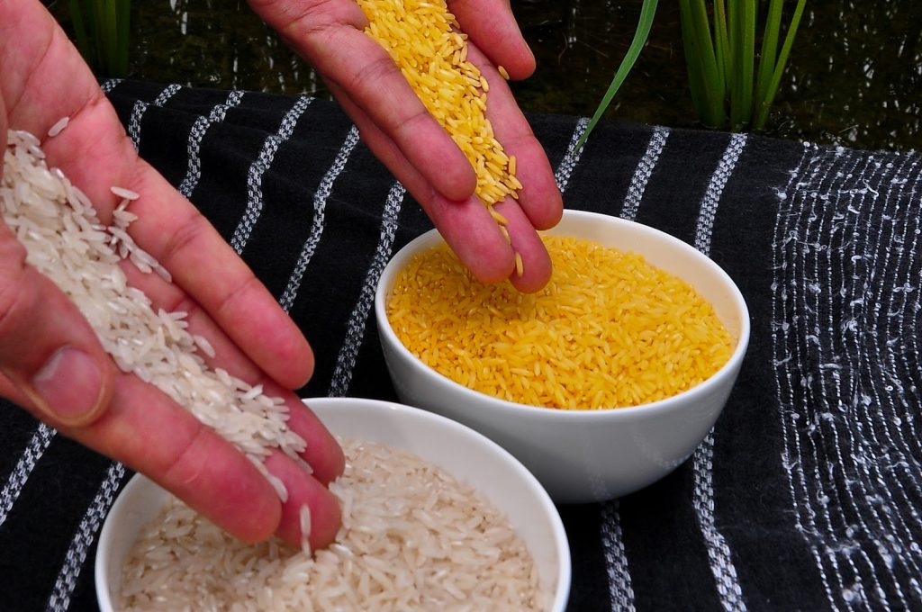 golden rice and regular rice in bowls poured by hands