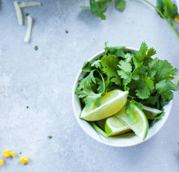 cilantro unsplash lindsay moe