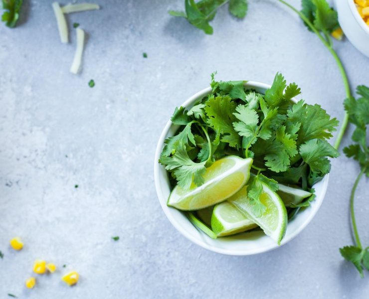 cilantro unsplash lindsay moe
