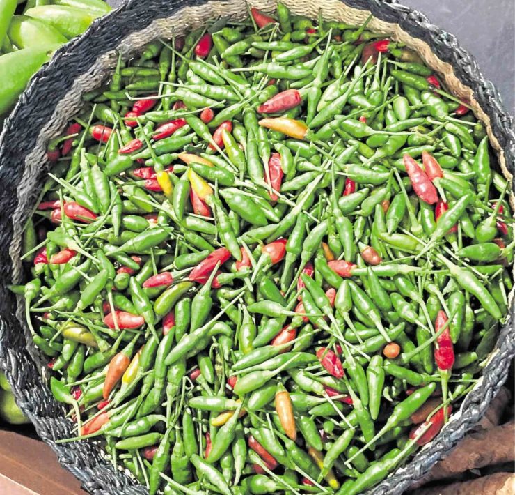 siling labuyo chili peppers harvested and collected in a basket