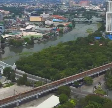 aerial view of arroceros forest park next to the pasig river