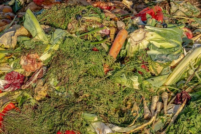 lasagna gardening compost