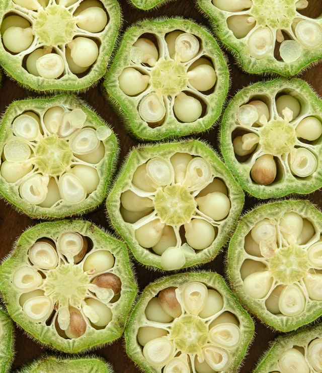 cross section okra