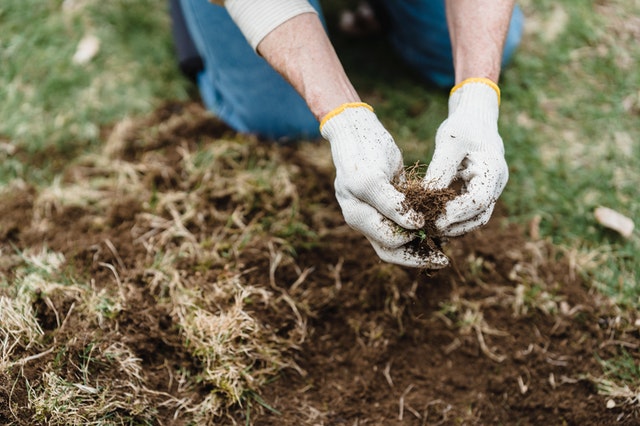 lasagna gardening compost