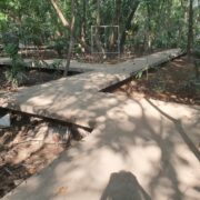 arroceros park redevelopment elevated path walks