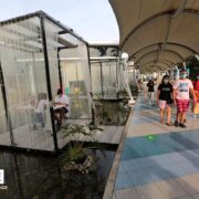 mall covid restrictions