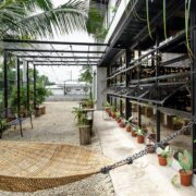 common crew panglao bohol