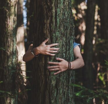 hands wrapped around a tree