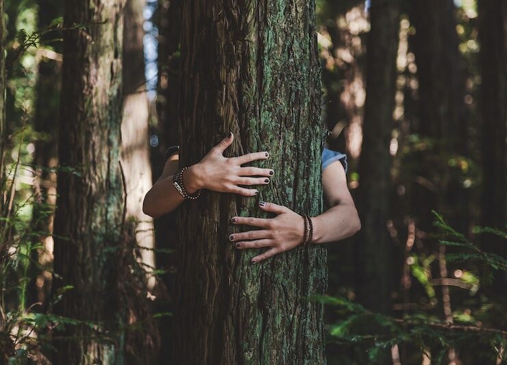 hands wrapped around a tree