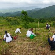women planting trees in a deforested forest range