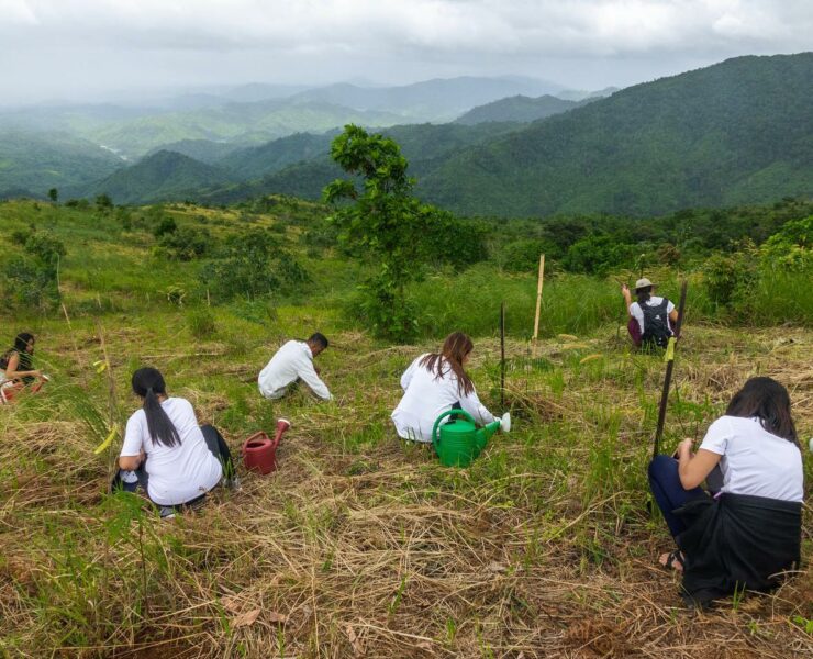 women planting trees in a deforested forest range