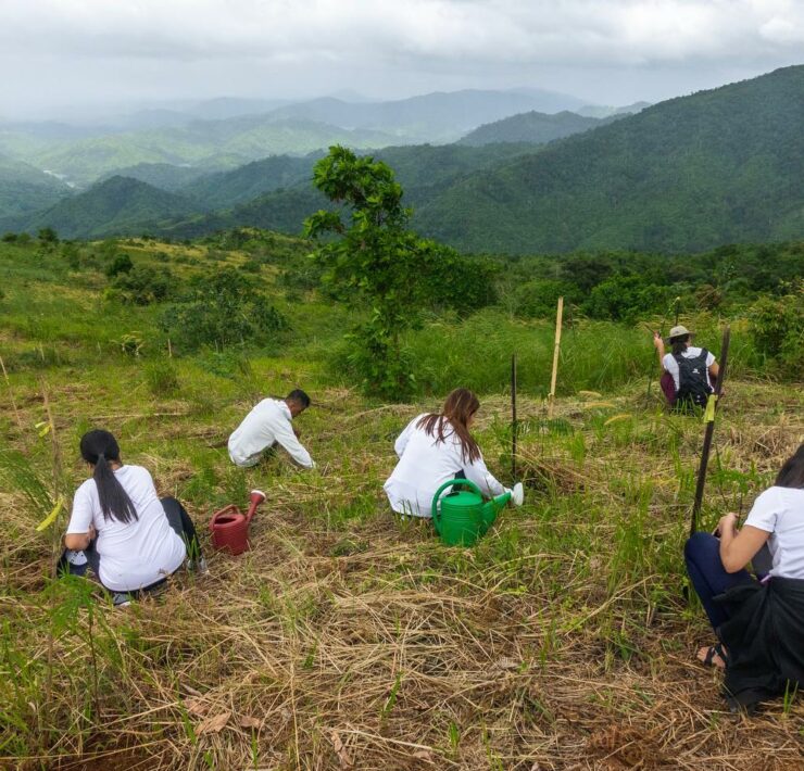 women planting trees in a deforested forest range