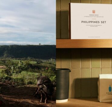 blue bottle philippine coffee